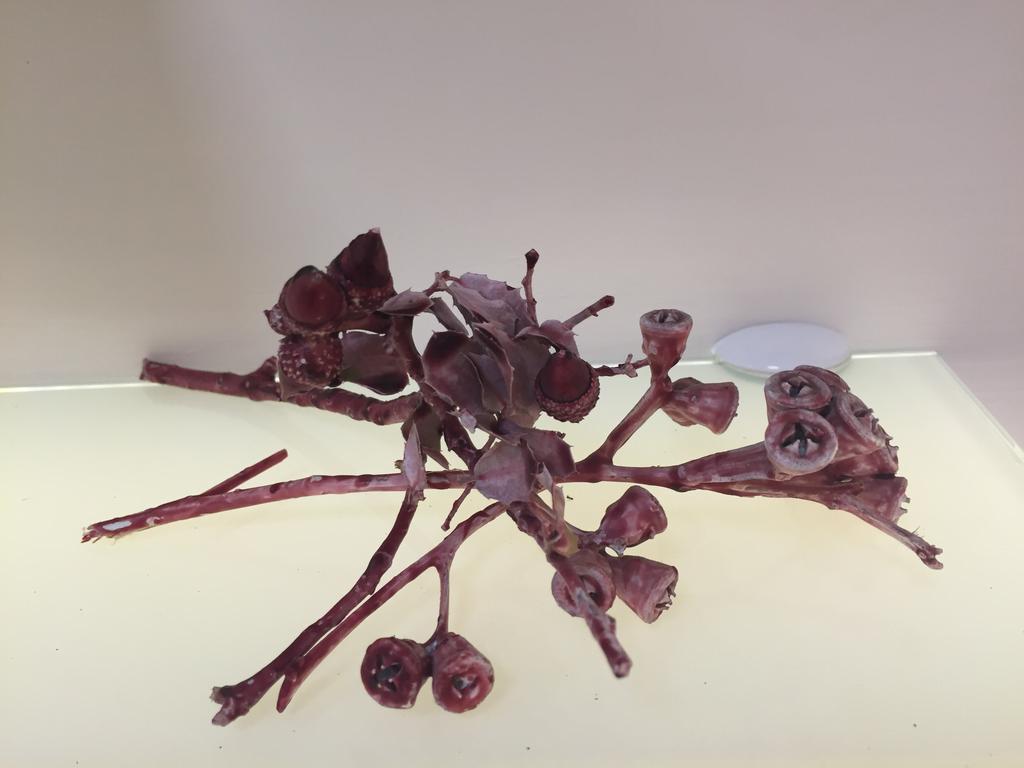 Villa Preziosa 波蒂奇 外观 照片